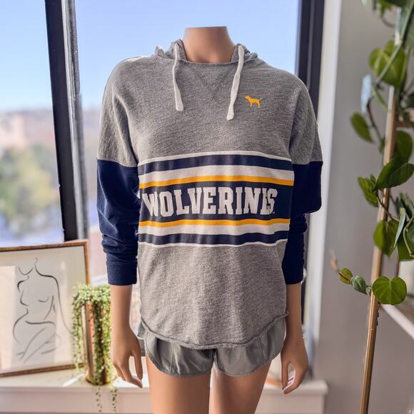 University of Michigan, Collegiate Sweatshirt, by PINK Victoria’s Secret, M - Picture 1 of 10